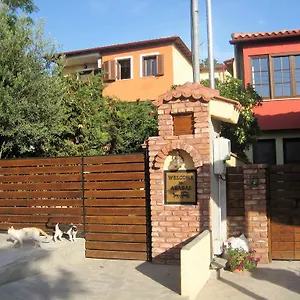 3* Pensjonat Arabas